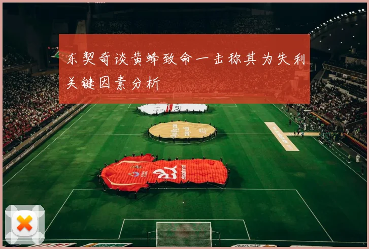 东契奇谈黄蜂致命一击称其为失利关键因素分析