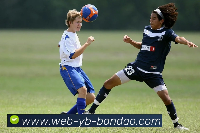 半岛体育APP 封面图